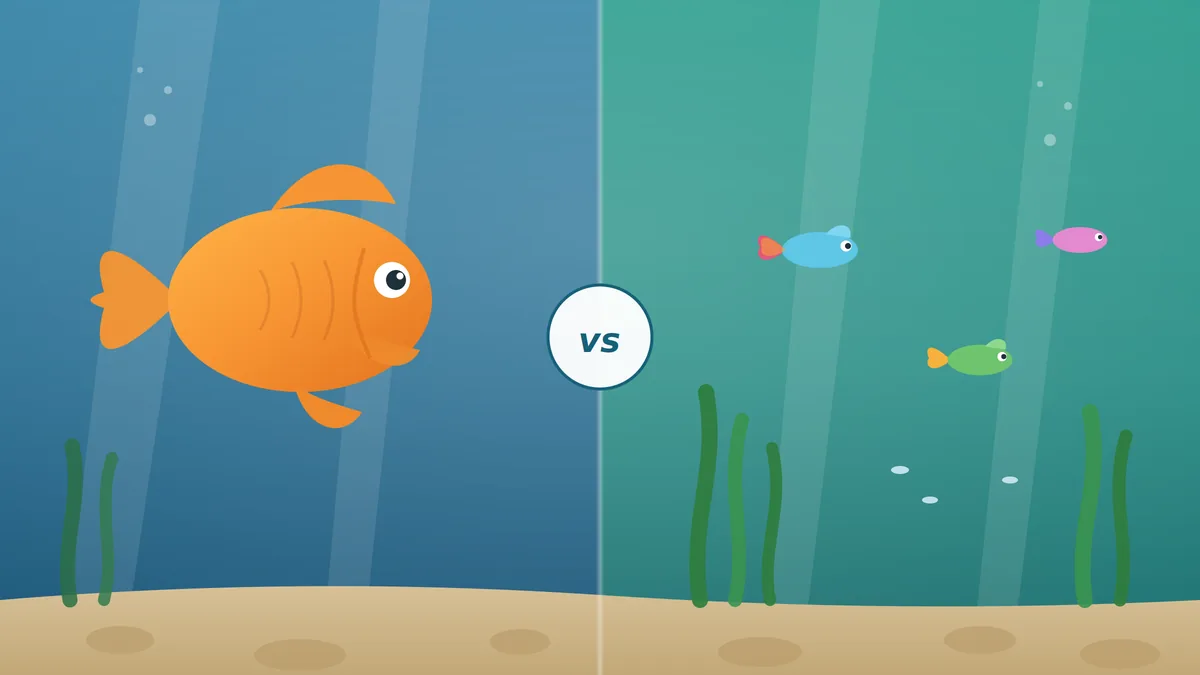 Goldfish and guppies compared as aquarium tank mates