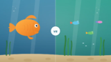 Can Goldfish Live With Guppies?